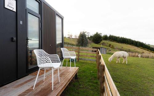 Surat Bay House | Bruce Farm Alpaca Cabin 3 by Tiny Away