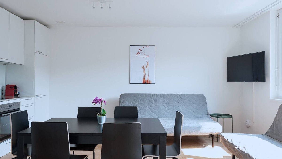 Basel City Centre Apartment | BS Squirrel V - Messe HITrental Apartment