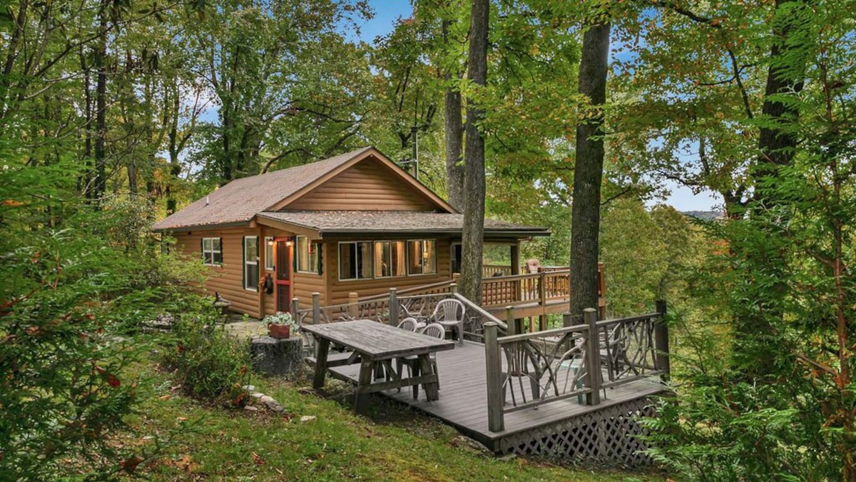 Brevard Cabin | Buck's Cabin near Brevard, NC Dog Friendly Wood stove, mtn views in forest.