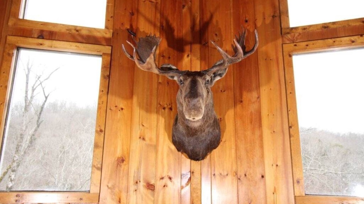 Flat Hollow Marina House | Bullwinkle Inn' private dock, hot tub, quiet water