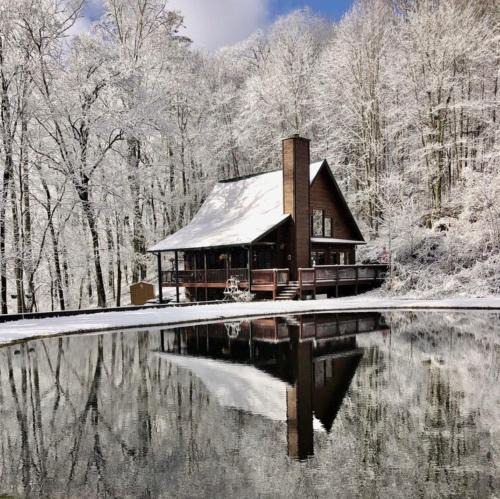 Sky Valley House | Bumble Bee Cabin
