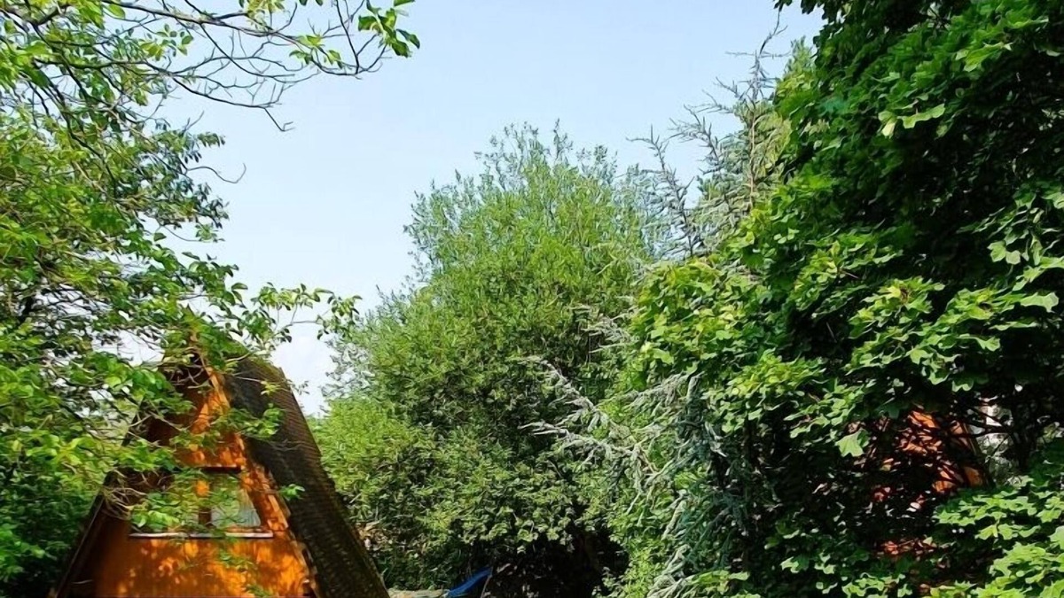 Wandlitz House | Bummeltime