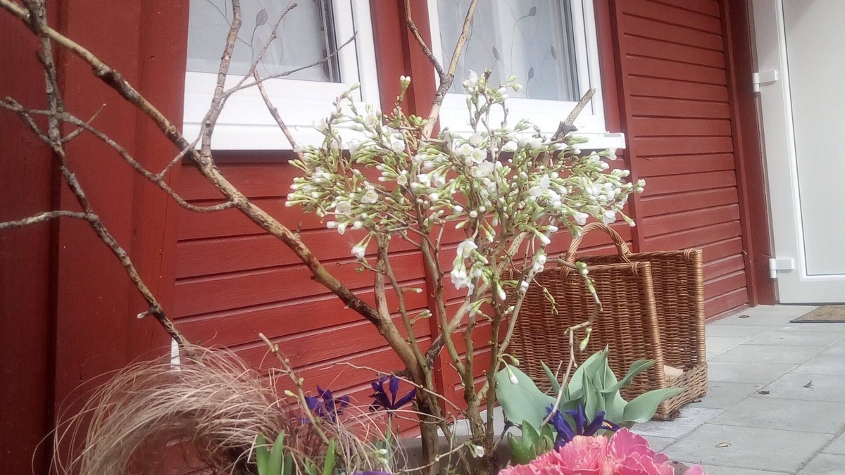 Themar Cabin | Bungalow 2 am Waldhof - feel at home in nature