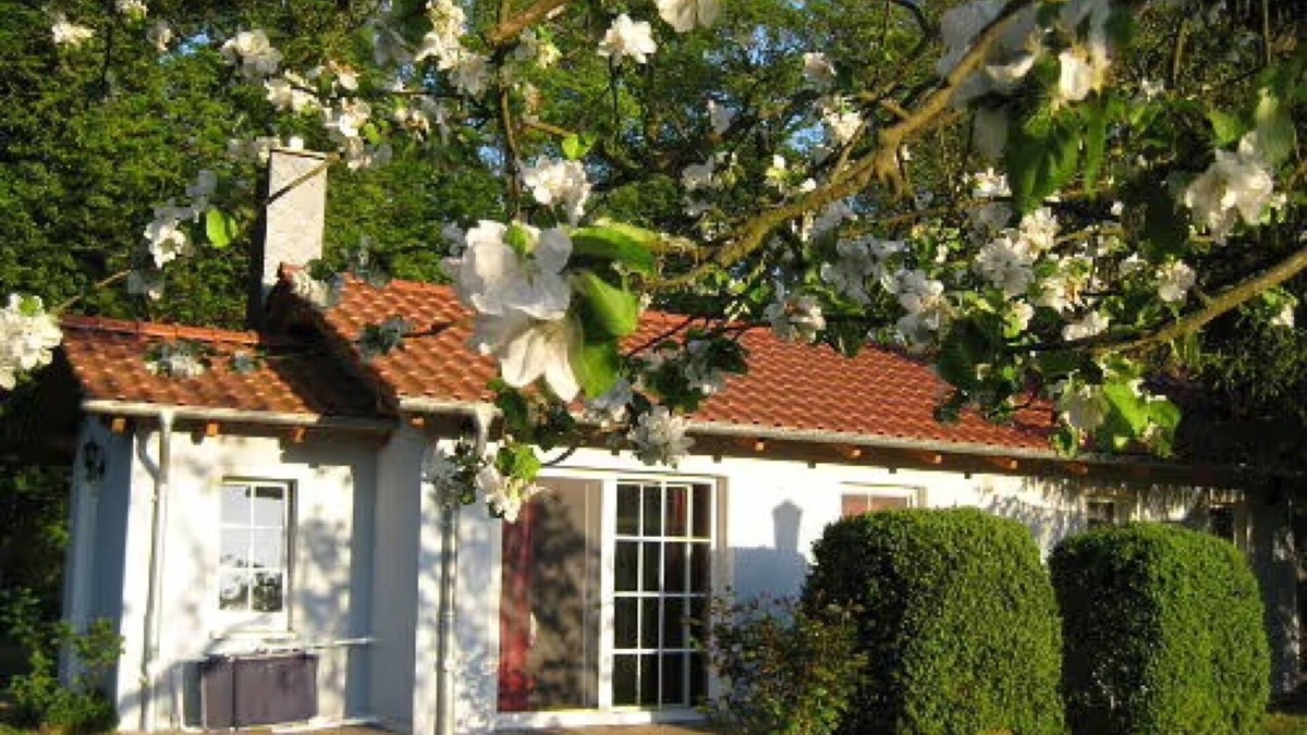 Oberhavel House | Bungalow 'Am Haussee' with Lake View, Private Terrace and Wi-Fi