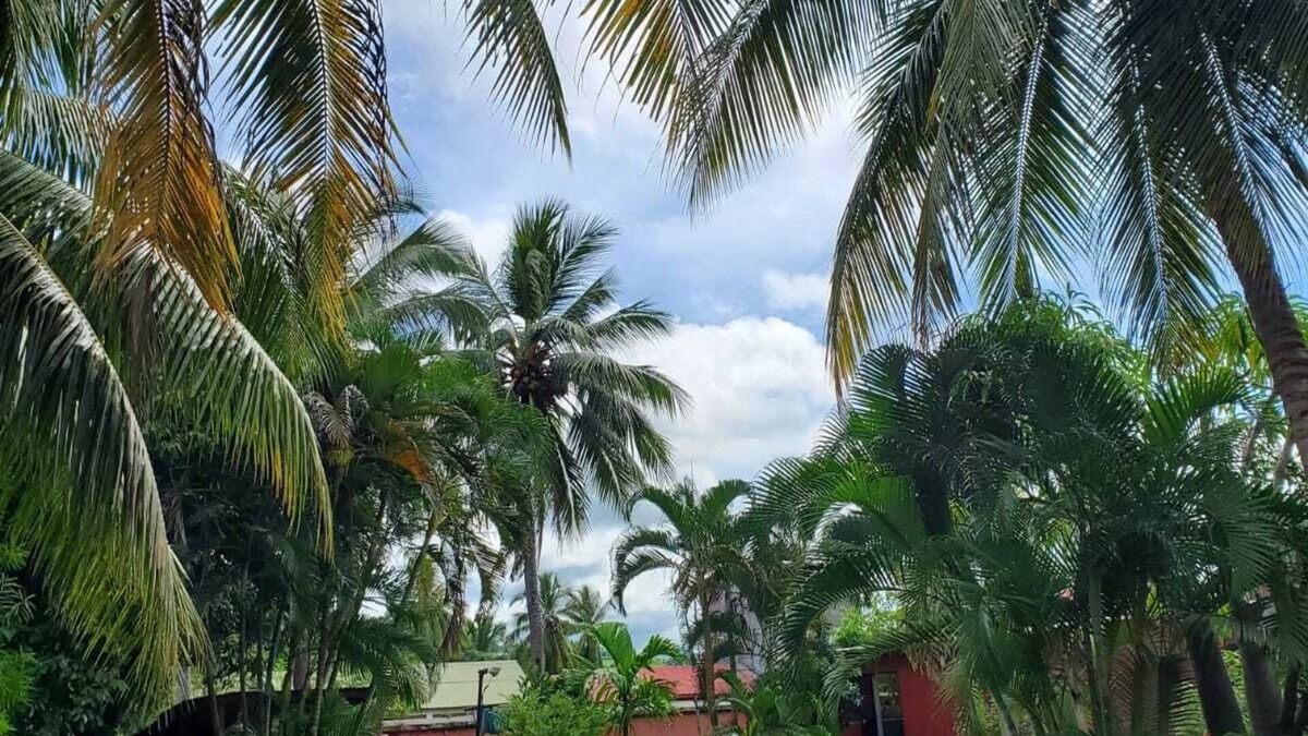 Nosy Be House | Bungalow Chez Mouch Nosy-be