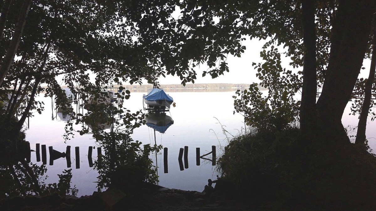 Schwielochsee House | Bungalow für 4 Gäste mit 50m² in Schwielochsee