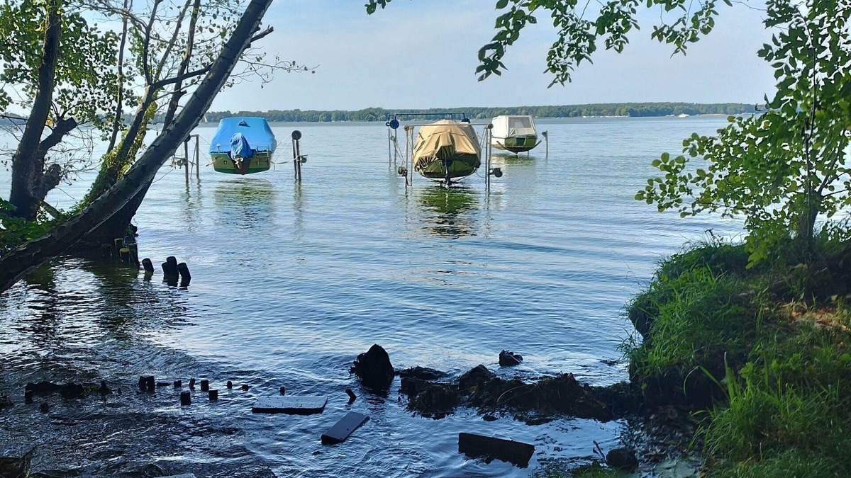 Schwielochsee House | Bungalow for 2 guests with 45m² in Schwielochsee (267936)