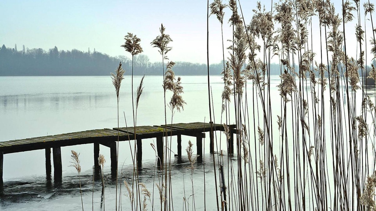 Parchim House | Bungalow summer house, Parchim