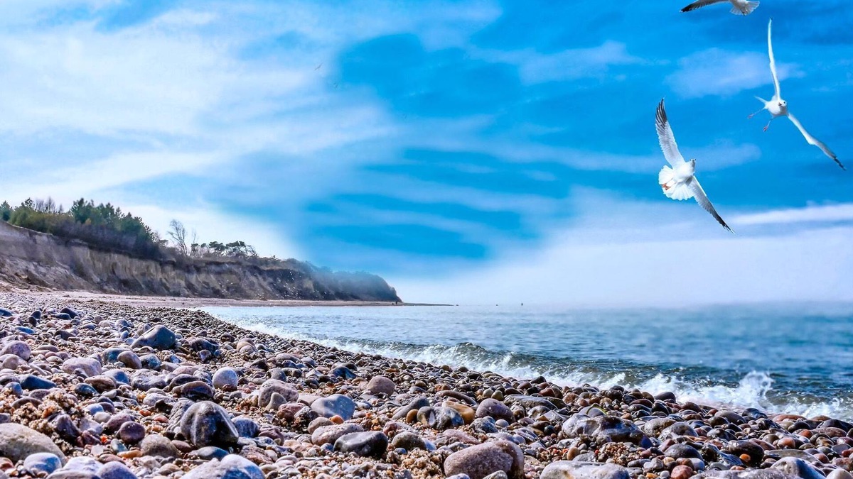 Dranske Apartment | Bungalowdorf Sonne & Meer - Category 2 No. 1 - Ferienpark Bakenberg