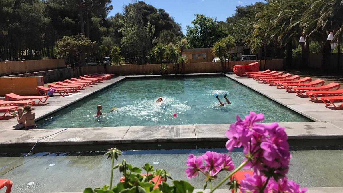 Olmeto House | Bungalows and Caravan Seaside and Pool