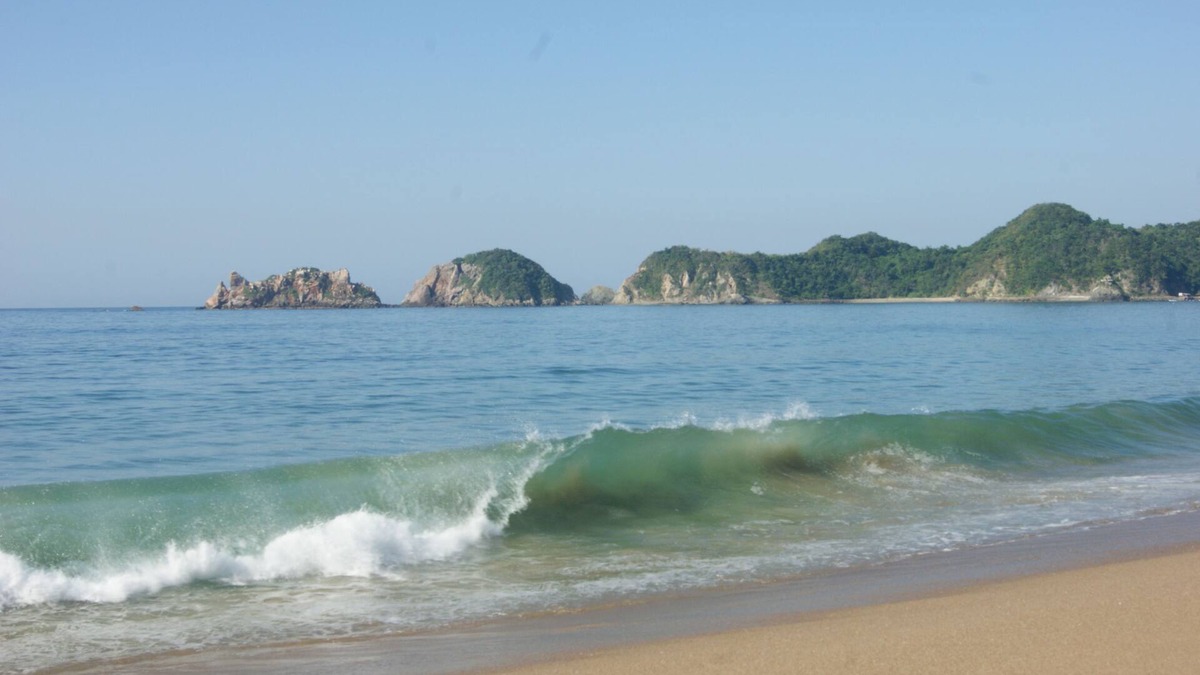 Centro Hotel | Bungalows Las Hamacas