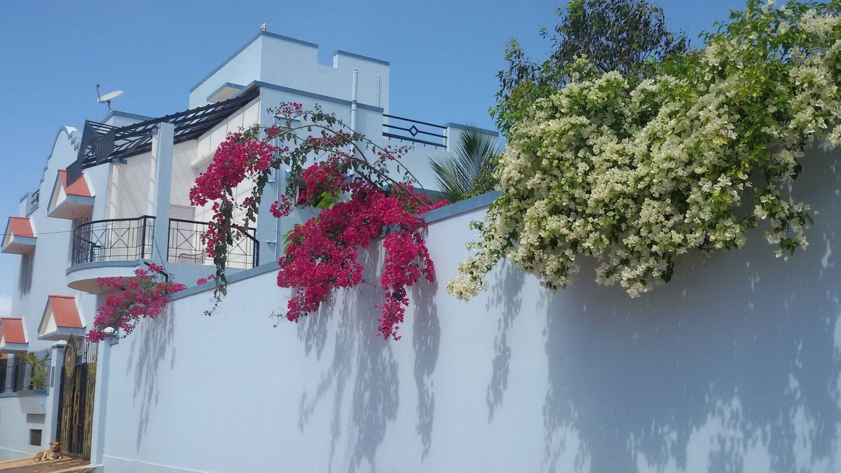 Bengaluru House | Bunglow to rent fully furnished for rent