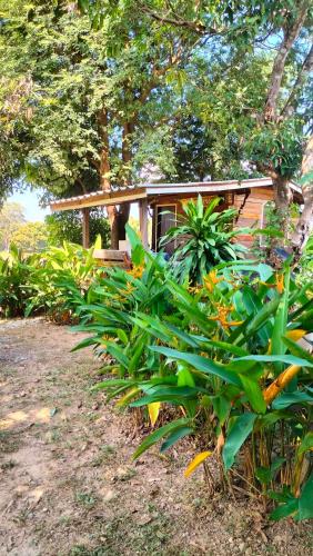 Mae Tha House | Bunnum Homestay