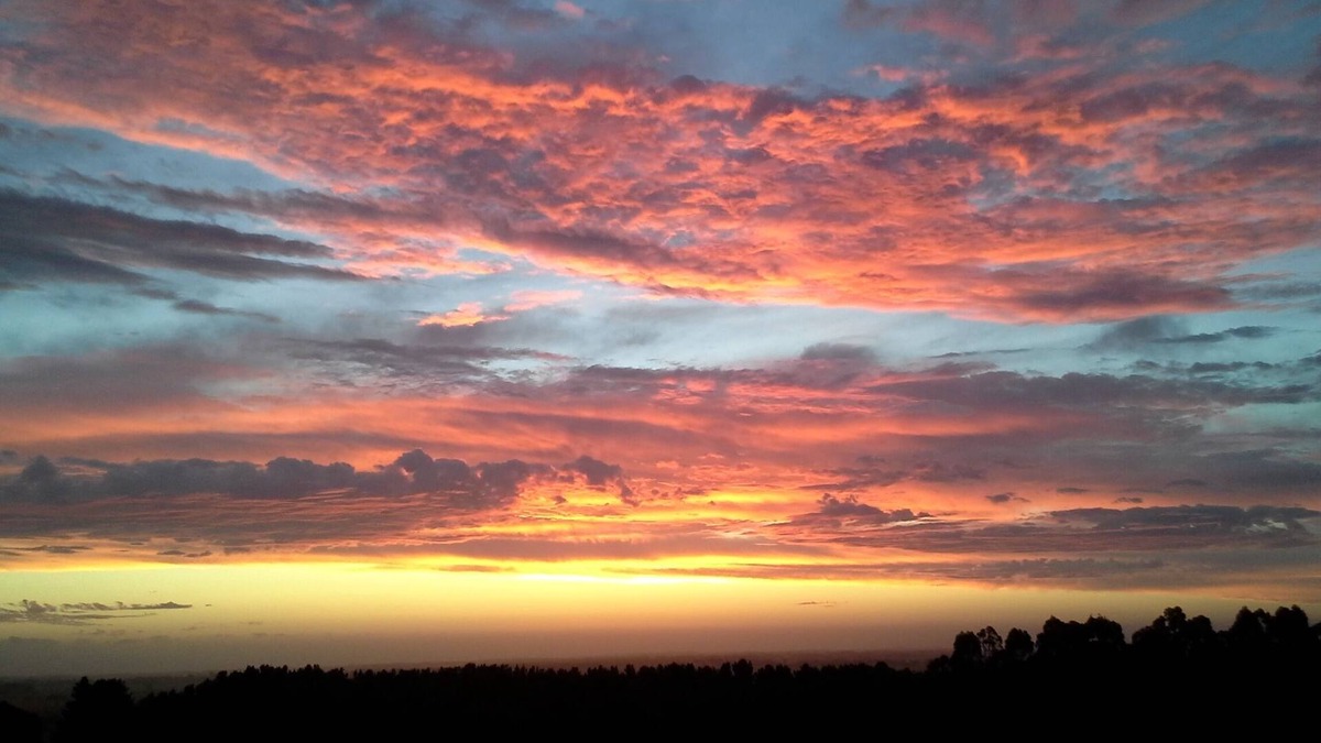 Riddoch House | Burr Cottage. Centrally located in the Limestone Coast.
