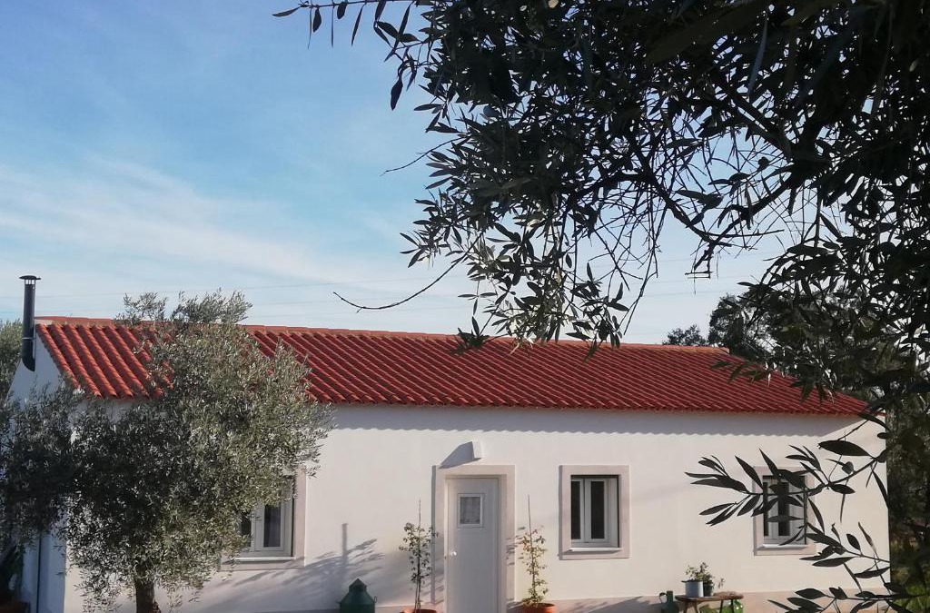 Serpa House | Burrico D`Orada - Lodging & Experiences