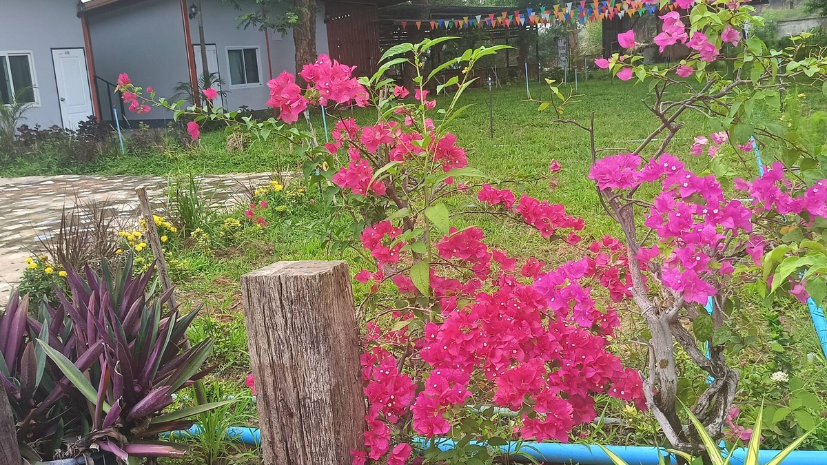 Tha Muang Hotel | Bussaracum Hotel