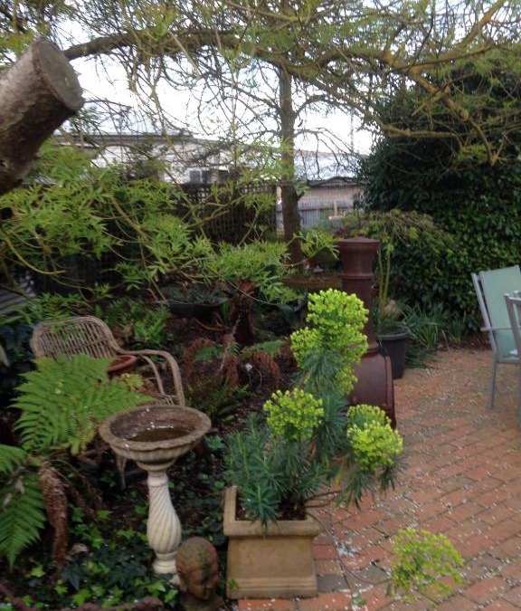 Birregurra Bed & Breakfast | Butlers Guesthouse