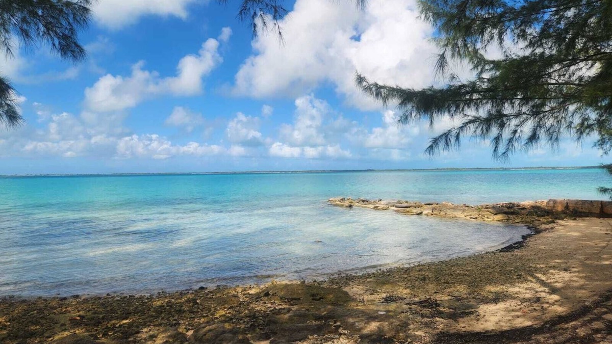 Rock Sound Apartment | By the Bay - Brand New Apartment, Steps to the Sea, Walk to Town