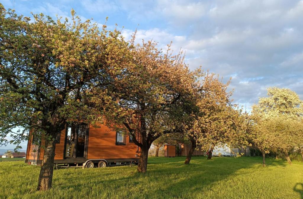 Mayrhof House | By Wolfsberger