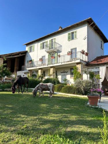 Vignale Monferrato House | Cà Bianca
