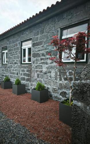 Prainha Apartment | Cá Por Casa Pico-Criptoméria