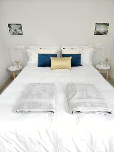 Zamora Apartment | Céntrico Piso en Pleno Románico de Zamora