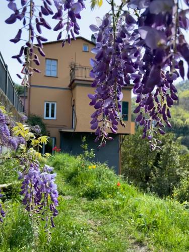 Mezzanego House | C'era un Voltino Guest House