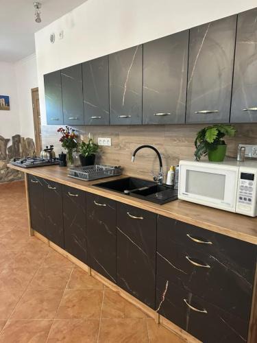 Solina House | Całoroczny Domek pod Brzozami