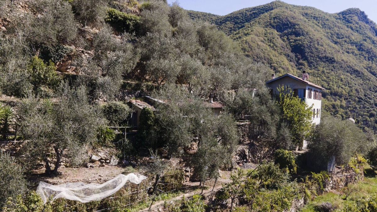 Molini di Triora House | Ca de Isodor by Interhome