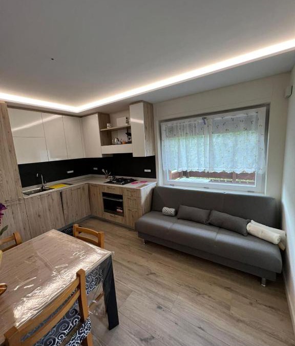 Domegge di Cadore Apartment | Ca' Domani - Appartamento immerso nel Cadore