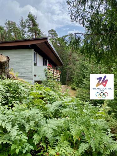 Borca di Cadore Ski Chalet | Ca' Mugo, chalet immerso nel bosco