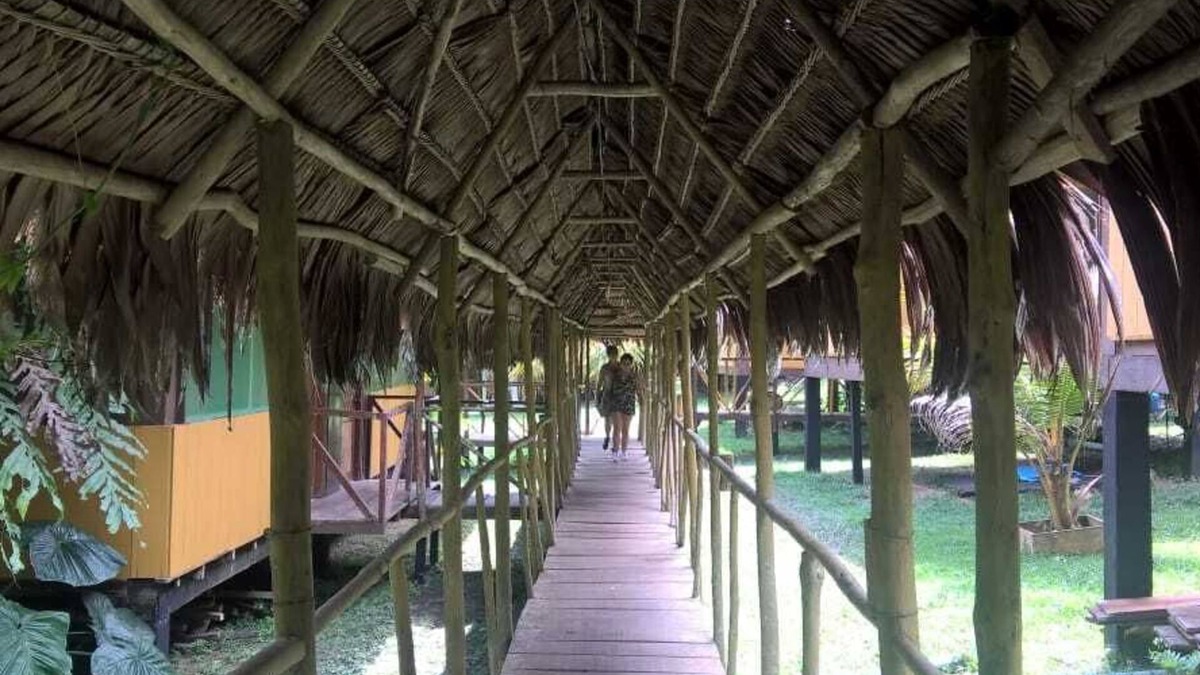Indiana Cabin | Cabaña Amazon Lodge