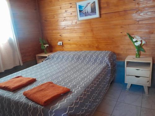 Cachi Ski Chalet | Cabaña Cachi