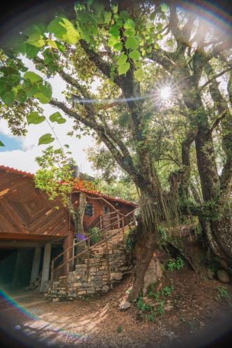 Pinal de Amoles Ski Chalet | cabañas cruz verde