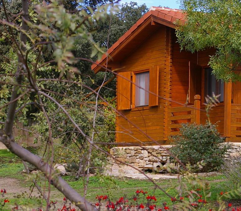 Monleras Apartment | Cabañas del Cortino