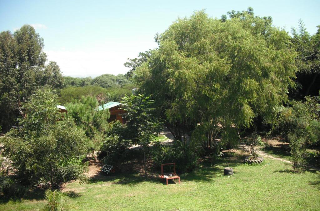 San Antonio Cabin | Cabañas El Paraiso