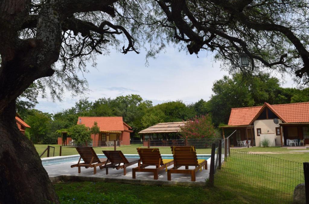 Nono Cabin | Cabañas La Curucucha