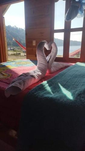 La Trinitaria Cabin | Cabañas la frontera