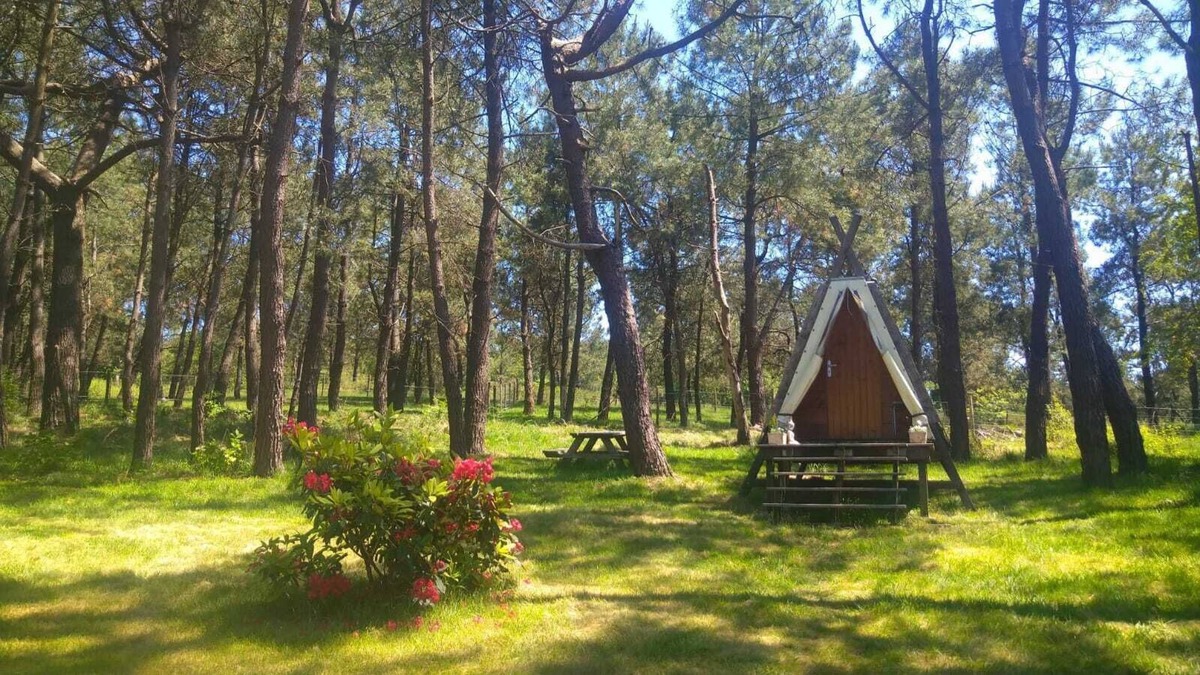 Plomodiern Bed & Breakfast | Cabadienne au Calme Absolu, Face au Menez Hom et à 10 Minutes de la Plage