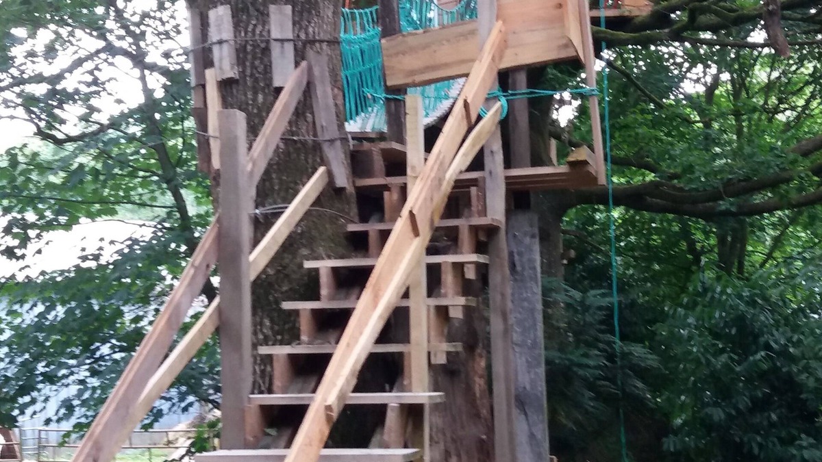 Saint-Thomas-de-Courceriers House | Cabane Dans Les Arbres - Le Nid Dans Le Chêne