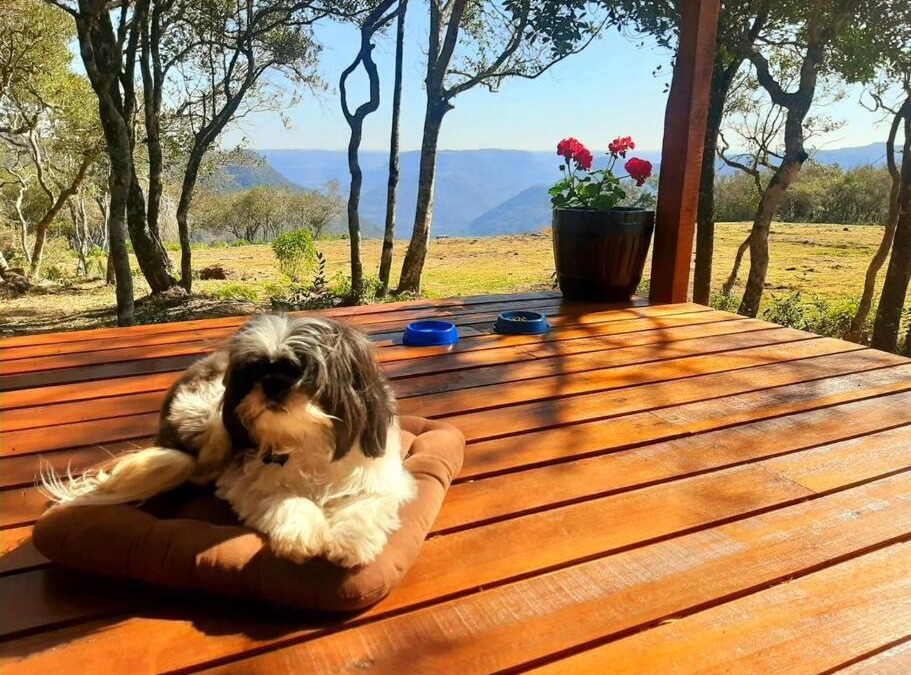 Nova Petropolis House | Cabana no alto do morro