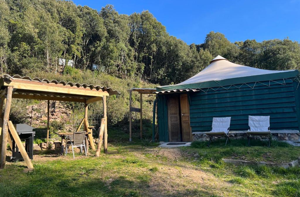 Olivese House | Cabane 2