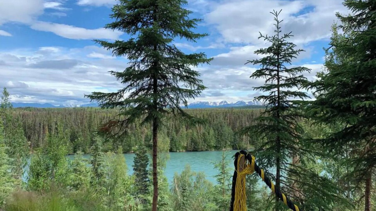 Funny River Cabin | Cabin 1 on the Kenai River!