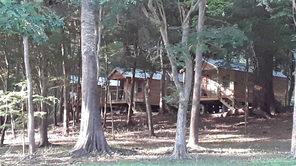 Fort White Cabin | Cabin 2 Bowman's Landing on Santa Fe River