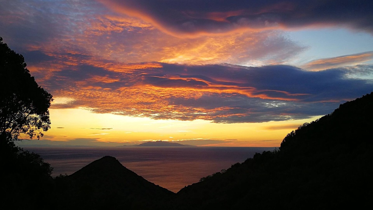 San-Martino-di-Lota Cabin | Cabin deluxe in the trees somptuous sea view in Corsica for couples in love