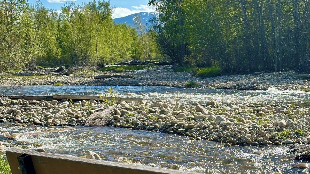 Red Lodge Cabin | Cabin on acreage minutes from downtown Red Lodge!