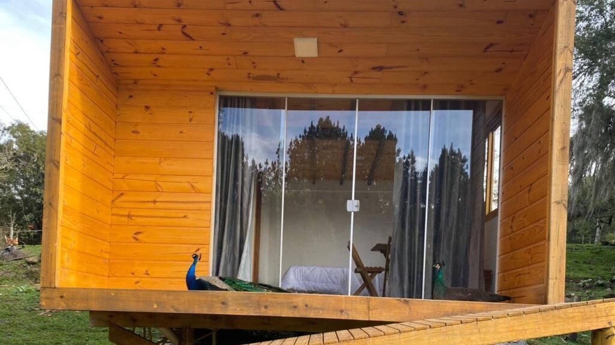 Canela Cabin | Cabin surrounded by nature and waterfalls a few km from Canela
