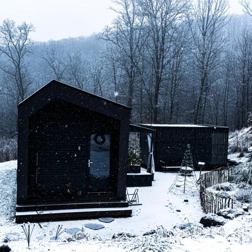 Niederdreisbach Apartment | Cabin Westerwald Sauna, 5G Internet, E-Ladesäule