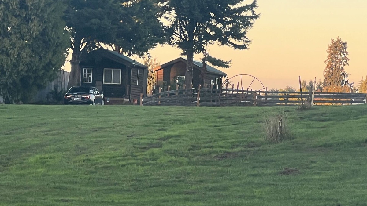 Aurora Cabin | Cabin with a View, pet friendly pets only