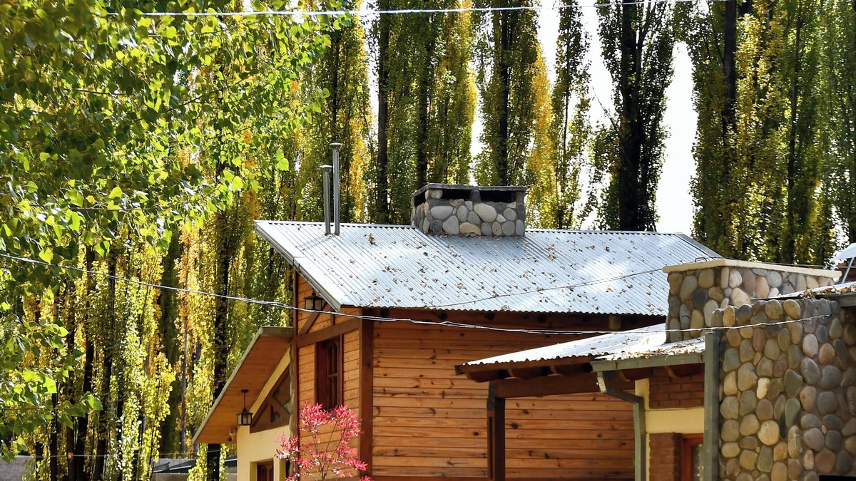 Malargue Cabin | Cabins located in the forest just 5 minutes from the center.